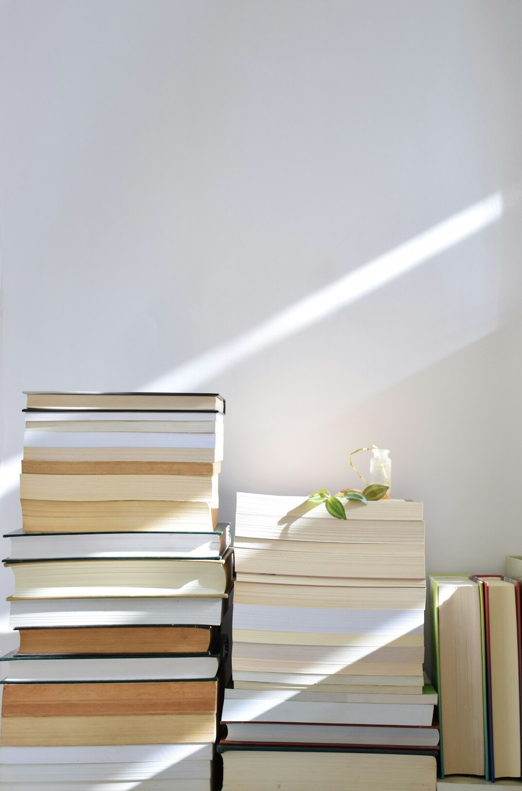mystery book collection
